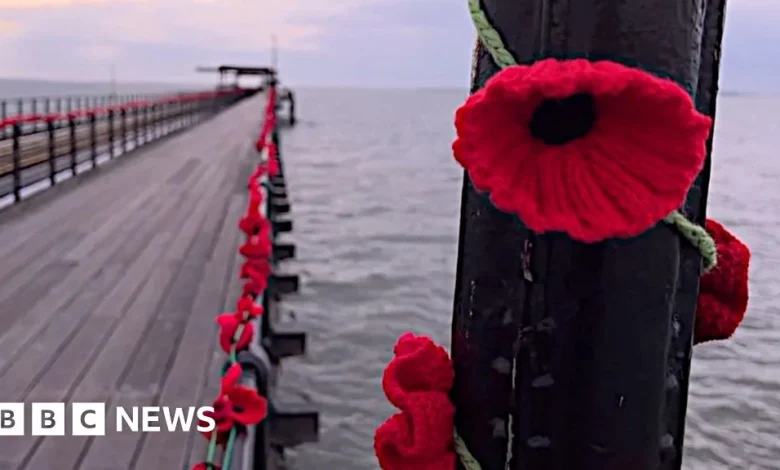 Video shows striking 110,000-poppy display on pier