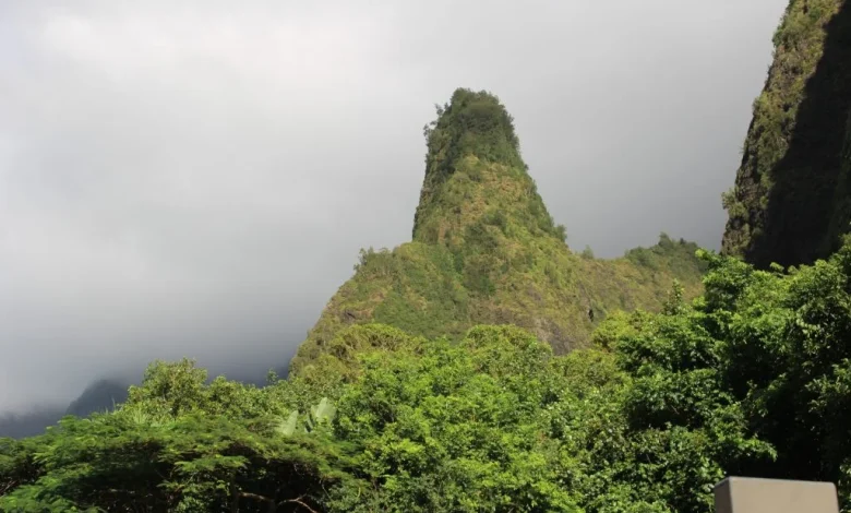 Visitor spending increased in September 2025