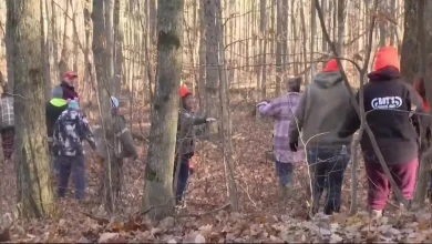 Volunteers rally in Cadillac to search for missing woman Rebecca Park