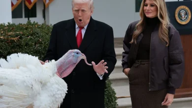 WATCH: Trump pardons turkeys Gobble and Waddle for Thanksgiving