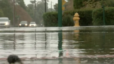 WHAT TO EXPECT: Another storm system to bring rain and snow to Arizona this week