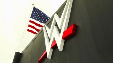 WWE Star Says He's Been 'Totally F**ked' By The Company Not Renewing His Contract After Injury