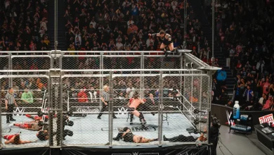 WWE Survivor Series 2025 Spoilers Ahead of WarGames