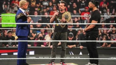 WWE Survivor Series WarGames 2025 Match Card, Start Time And Odd