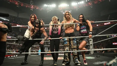 WWE Survivor Series WarGames 2025: Start time, how to watch and card