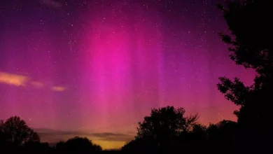 Wales 'could see' northern lights tomorrow after red alert issued update