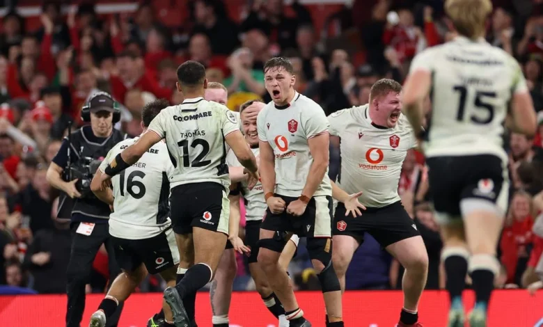 Wales player ratings vs Japan as two stand out amid some awful performances