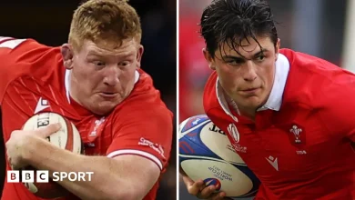 Wales v Argentina: Louis Rees-Zammit and Rhys Carre to make Test returns