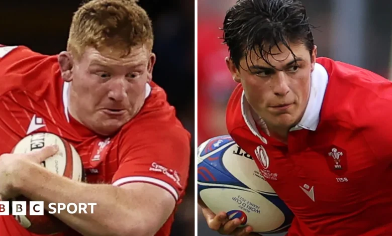 Wales v Argentina: Louis Rees-Zammit and Rhys Carre to make Test returns