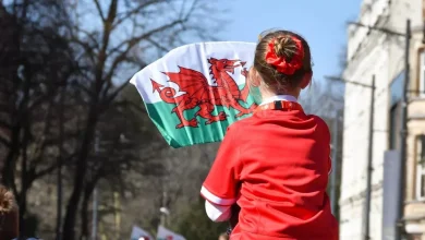 Wales v Japan road closures in Cardiff as drivers warned of disruption