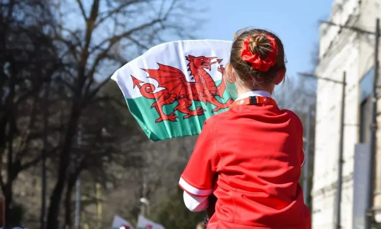 Wales v Japan road closures in Cardiff as drivers warned of disruption