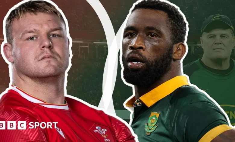 Wales v South Africa: Springboks captain Siya Kolisi annoyed by fixture negativity