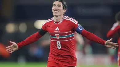 Wales win consigns Ireland to Pot 3 in World Cup playoffs