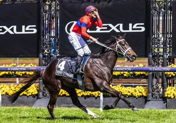 Waller Seeking Another Melbourne Cup