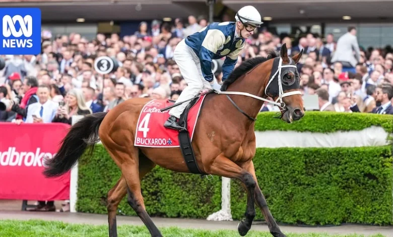 Waller says Buckaroo can emulate Verry Elleegant to take out Melbourne Cup