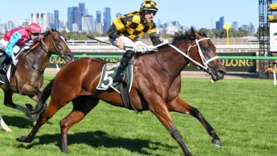 Waller's Champions Day Group 1 intel