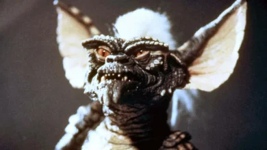 Warners Making ‘Gremlins 3’ With Steven Spielberg, Chris Columbus Returning