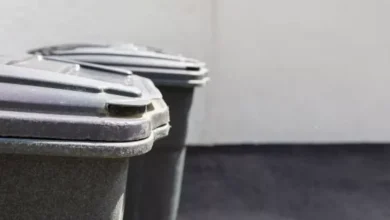 Warning for UK households putting black bins out in November