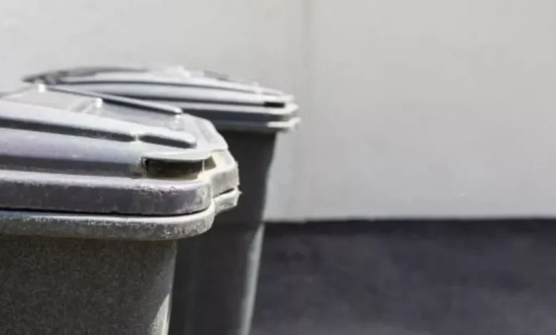 Warning for UK households putting black bins out in November
