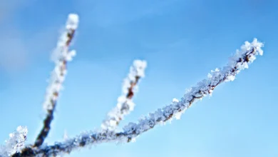 Warnings updated as cold weather continues