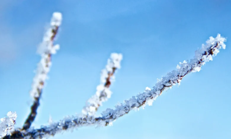 Warnings updated as cold weather continues