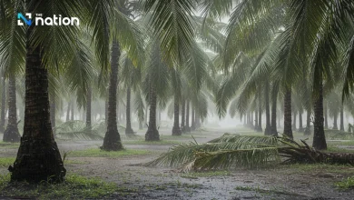 Warns of continued heavy rain in the South, temperatures in the North to drop 2–4°C