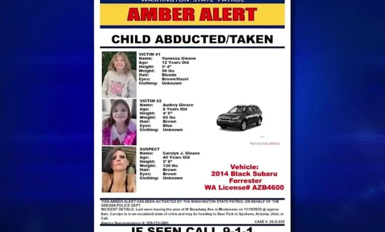 Washington State Patrol issues Amber Alert for 2 missing girls from Montesano