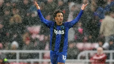 Watch: Adams scores spectacular Bournemouth goal from near midfield