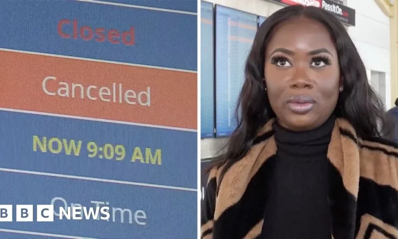 Watch: 'Devastating' - Airline travellers react to flight reductions