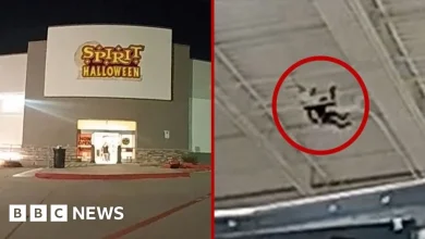 Watch: Pet monkey gets loose inside US Halloween store