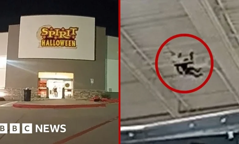 Watch: Pet monkey gets loose inside US Halloween store