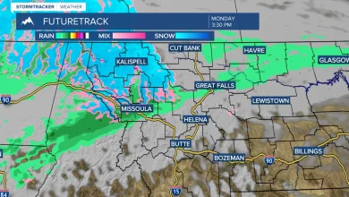 Weather Forecast: Rain and snow Monday