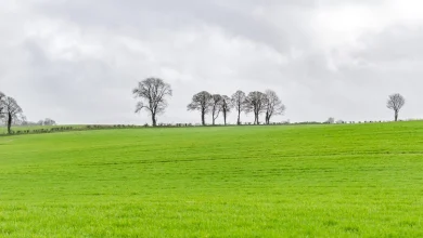 Weather: Further rain expected this weekend but also sunny spells