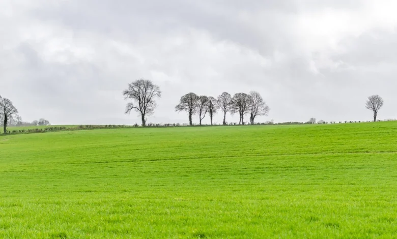 Weather: Further rain expected this weekend but also sunny spells