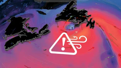 'Weather bomb' threatens outages and flooding over Newfoundland