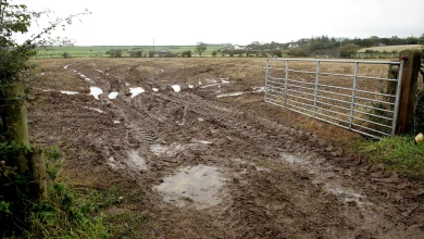Weather forecast: Unsettled week with wet and blustery bursts