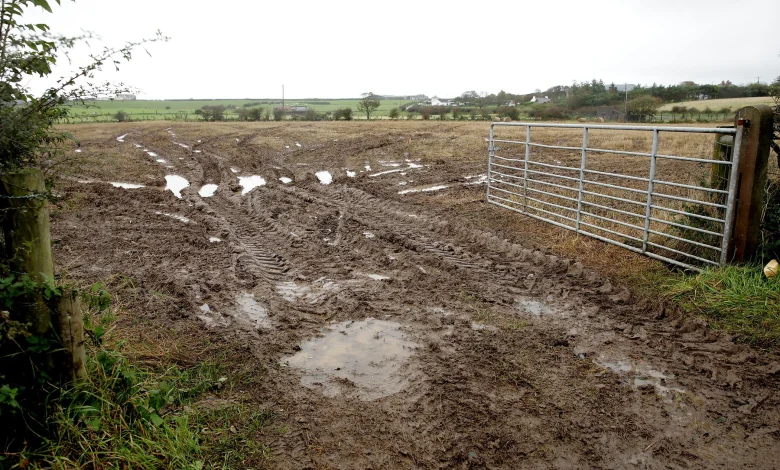 Weather forecast: Unsettled week with wet and blustery bursts