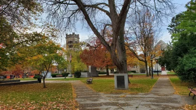 Weather: windy & damp, but milder late week