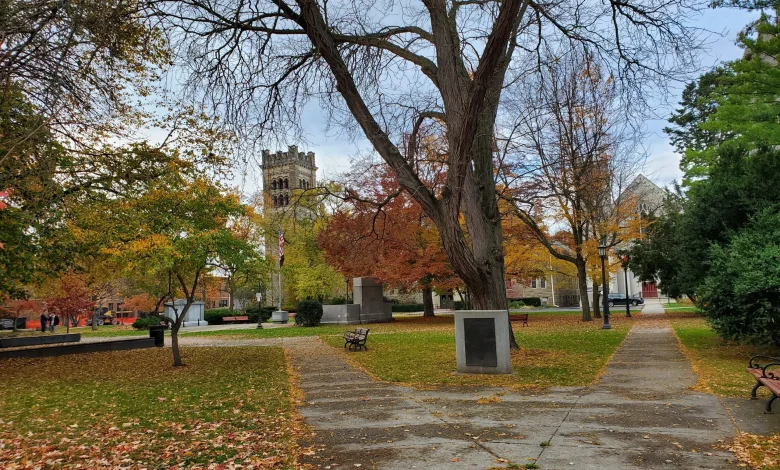 Weather: windy & damp, but milder late week