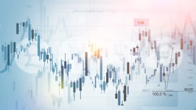 Webull’s Wild Ride: What To Expect from BULL Ahead of Earnings