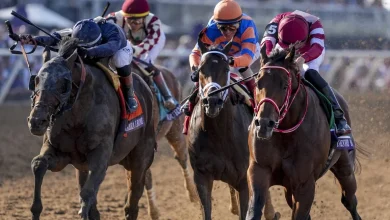 Week In Review: Did the Rabbit Cost Fierceness the Classic, and Other Observations on the Breeders' Cup