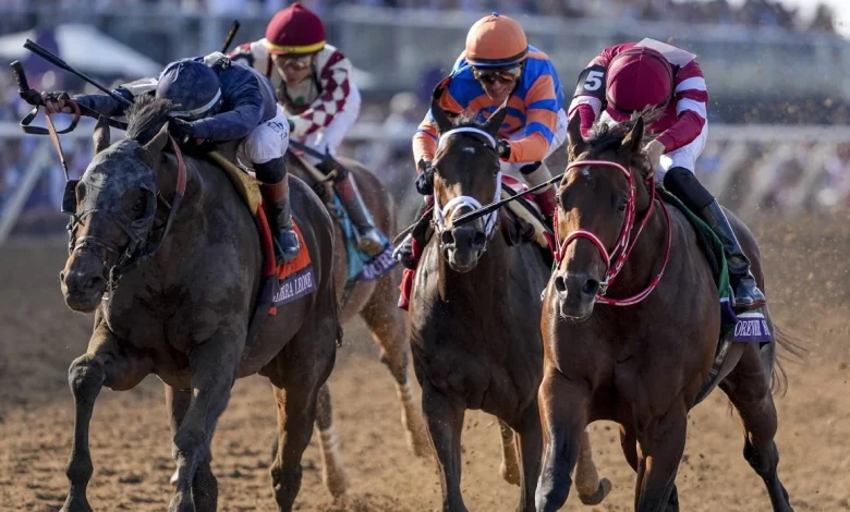 Week In Review: Did the Rabbit Cost Fierceness the Classic, and Other Observations on the Breeders' Cup