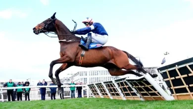 Weekend racing preview: Ian Donoghue’s Dunboyne can continue renaissance with Troytown win