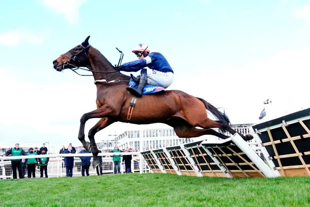 Weekend racing preview: Ian Donoghue’s Dunboyne can continue renaissance with Troytown win