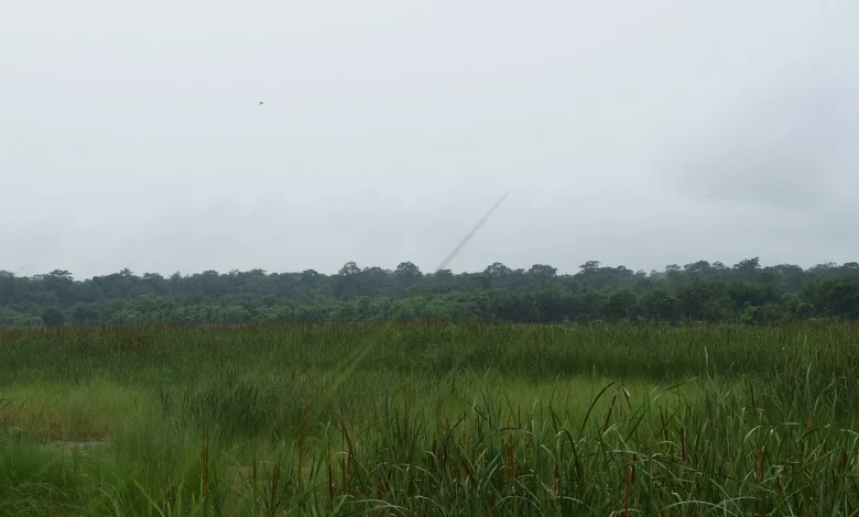 Weekend weather: Becoming milder and more unsettled