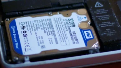 Western Digital’s Buyback and Dividend Boost: What Do They Reveal About WDC’s Long-Term Strategy?