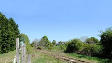 Western Rail Corridor a priority under new transport plan with N17 also progressing along with the Eastern Garavogue bridge