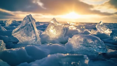 What Antarctica Is Starting to Release Could Speed Up the Climate Endgame