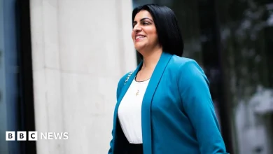 What changes will be part of the UK's asylum reform?