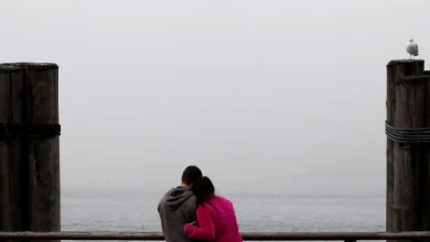 What the ‘bird theory’ test may reveal about your relationship